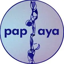 partenaire-tatamitalks-papaya